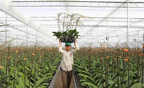 Các tỉnh Tây Nguyên có 1 huyện và 123 xã đạt chuẩn nông thôn mới