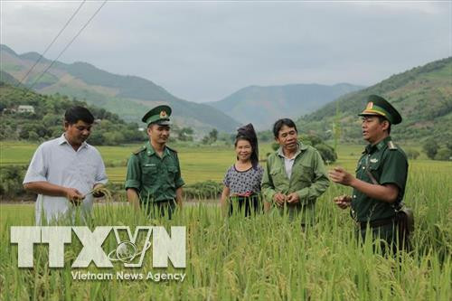Bộ đội Biên phòng Sơn La hỗ trợ đồng bào vùng biên xây dựng nông thôn mới