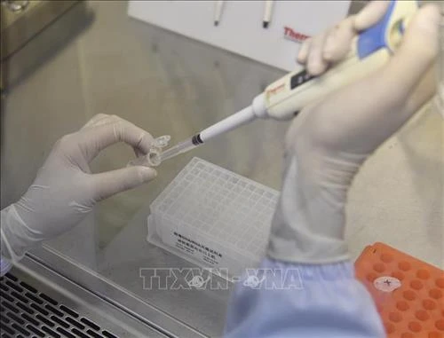 Chuyên gia Trung Quốc dự báo dịch bệnh sẽ chấm dứt vào tháng 4 - Hơn 80% số ca nhiễm bệnh là lây chéo trong gia đình