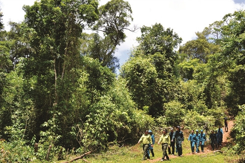 Kon Tum - tăng cường quản lý và bảo vệ rừng
