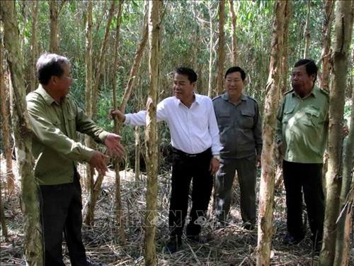 Nhiều diện tích rừng Cà Mau đối mặt với nguy cơ cháy cao