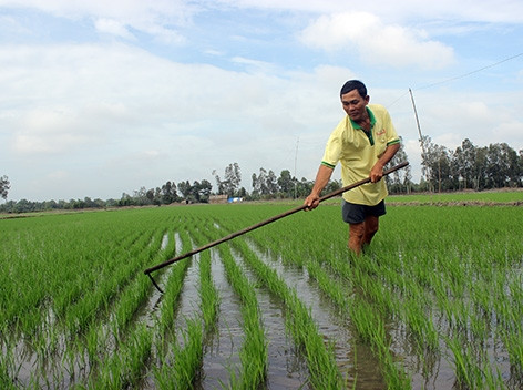 Xây dựng nông thôn mới ở Thuận Hòa