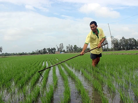 Xây dựng nông thôn mới ở Thuận Hòa