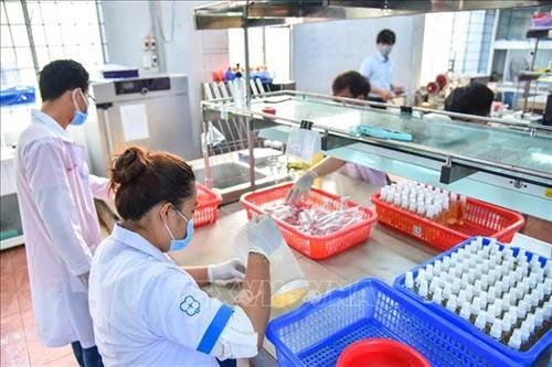 Phó Thủ tướng Vũ Đức Đam: Tạo điều kiện tối đa cho nghiên cứu, triển khai sản xuất kit xét nghiệm