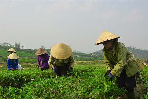 Phê duyệt Chương trình mục tiêu quốc gia xây dựng nông thôn mới giai đoạn 2016-2020