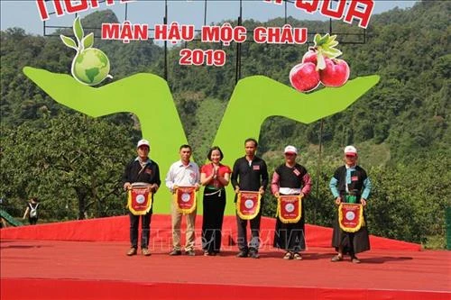 Rộn ràng Ngày hội hái quả vùng mận Mộc Châu