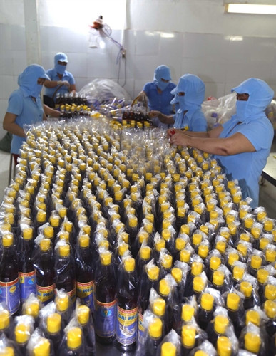 Hội Nông dân tỉnh Vĩnh Long với phong trào "Sản xuất kinh doanh giỏi, đoàn kết giúp nhau làm giàu và giảm nghèo bền vững”