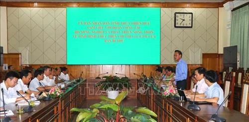 Thừa Thiên - Huế cần đẩy mạnh trồng rừng gỗ lớn