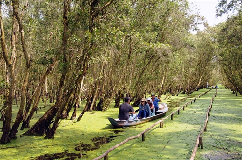 Rừng tràm Trà Sư - điểm đến hấp dẫn du khách