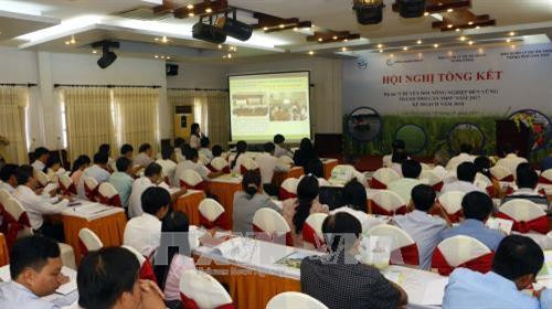 Hàng chục nghìn nông dân hưởng lợi từ Dự án Chuyển đổi nông nghiệp bền vững