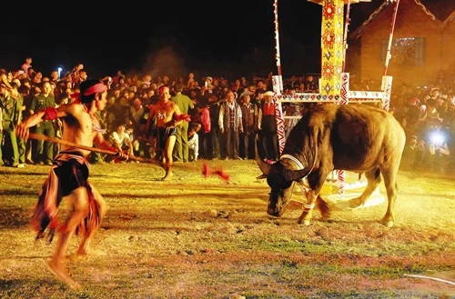 Lễ đâm trâu của đồng bào Bahnar