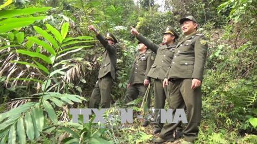 Tác động tích cực từ chính sách chi trả dịch vụ môi trường rừng ở Kon Tum