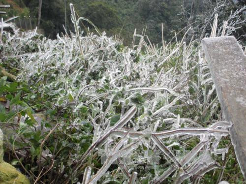 Băng mỏng xuất hiện ở vùng cao Tủa Chùa, Điện Biên