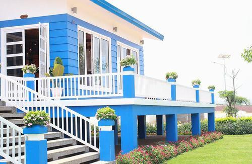 Trang trại như trời Âu ngay gần Đà Lạt