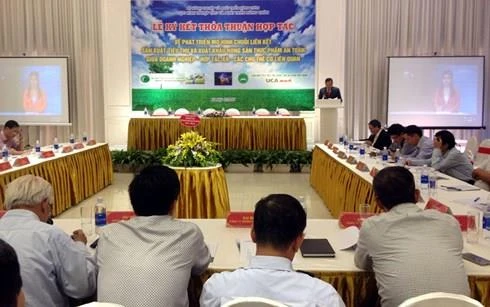 Sẽ thí điểm xây dựng mô hình liên kết giữa doanh nghiệp – hợp tác xã – nông dân