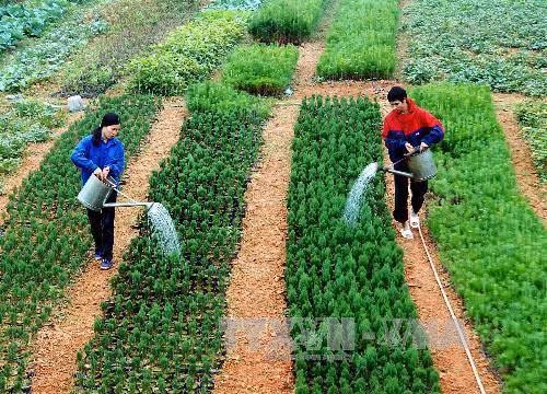 Quy định về bảo tồn nguồn gen giống cây trồng