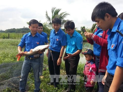 Khởi nghiệp thành công từ mô hình sản xuất giống cá lăng nha