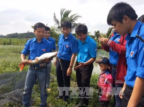 Khởi nghiệp thành công từ mô hình sản xuất giống cá lăng nha
