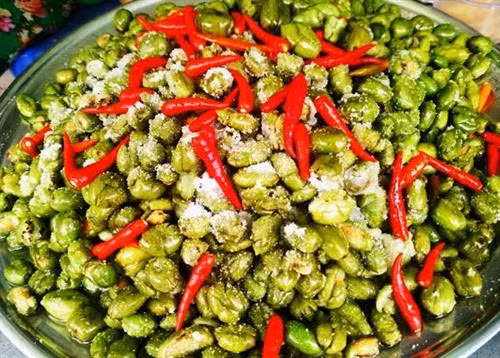 Cà na - món quà quê trong ký ức tuổi thơ