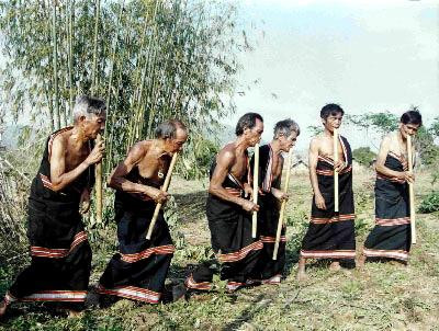 Cây Đinh tút – nhạc cụ độc đáo của người T’riêng
