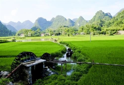 Cọn nước - nét văn hóa độc đáo miền non nước Cao Bằng