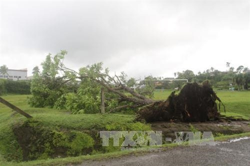 Fiji: Số người thiệt mạng do bão Winston tiếp tục tăng