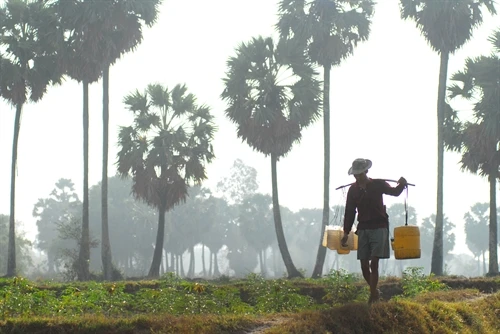 Nghề làm đường thốt nốt của đồng bào Khmer ở An Giang
