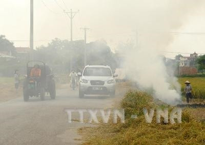 Nghiên cứu công nghệ phù hợp để xử lý, tận dụng rơm rạ