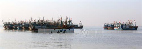 Công điện của Thủ tướng chỉ đạo đối phó với bão số 16 (bãoTembin)