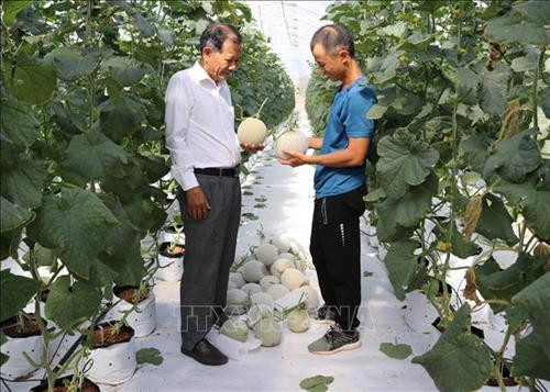 Biến đổi khí hậu: Ứng dụng khoa học, kỹ thuật vào nông nghiệp cho thu nhập cao