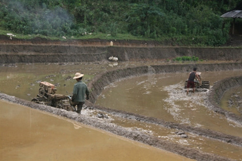 Đề án chính sách đặc thù hỗ trợ phát triển vùng dân tộc thiểu số và miền núi giai đoạn 2016 - 2020