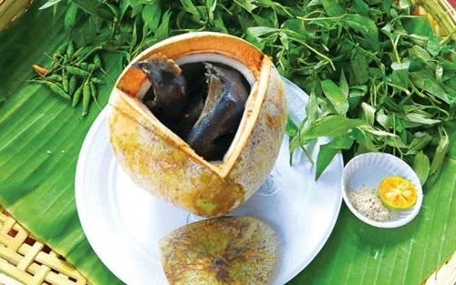 Gà ác tiềm ớt hiểm trái dừa Bến Tre