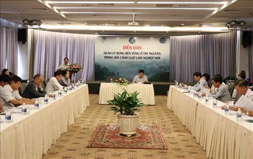 Quản lý rừng bền vững ở Tây Nguyên trong bối cảnh mới