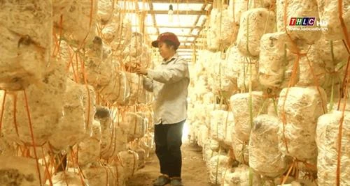 Lào Cai tích cực hỗ trợ phụ nữ khởi nghiệp
