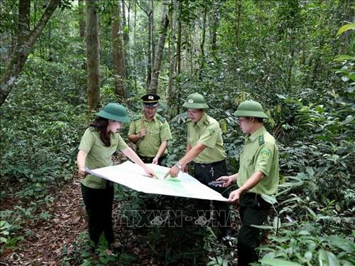 Bộ trưởng Nguyễn Xuân Cường: Rừng đặc dụng, phòng hộ là lõi của phát triển bền vững