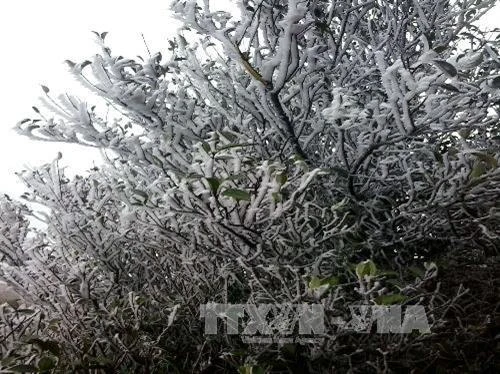 Thời tiết ngày 30/1: Miền Bắc rét sâu, băng tuyết có thể mở rộng trên địa bàn các vùng núi cao