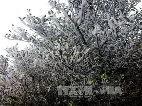 Thời tiết ngày 30/1: Miền Bắc rét sâu, băng tuyết có thể mở rộng trên địa bàn các vùng núi cao
