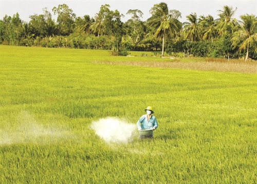 Sóc Trăng khắc phục hạn, mặn và ổn định sản xuất