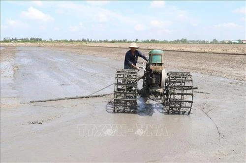Biến đổi khí hậu: Điều chỉnh lịch thời vụ “né” hạn, mặn