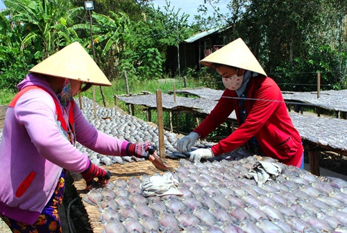 Nghề làm cá khô bổi ở Cà Mau