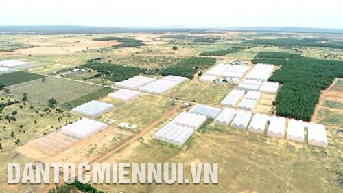 Bắc Bình ứng dụng công nghệ cao trong sản xuất nông nghiệp