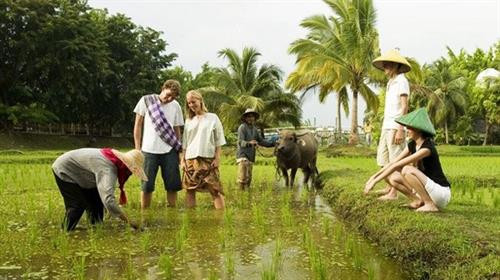 Doanh thu của ngành du lịch Cần Thơ đầu năm 2018 tăng mạnh