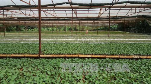 Đắk Nông thực hiện có hiệu quả chương trình giảm nghèo bền vững