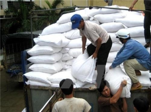 Hỗ trợ hơn 10 nghìn tấn gạo cho 12 địa phương