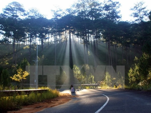 Nắng nóng thu hẹp, nhiều vùng có thể có tố lốc, gió giật và mưa đá ngày 4/5