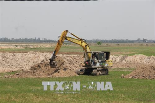 Long An không khuyến khích chuyển đổi từ trồng lúa sang đào ao nuôi cá