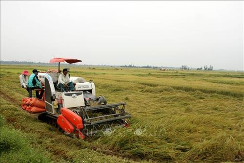 Nông dân Quảng Bình thiệt hại hàng chục tỷ đồng do mưa lớn kèm gió mạnh