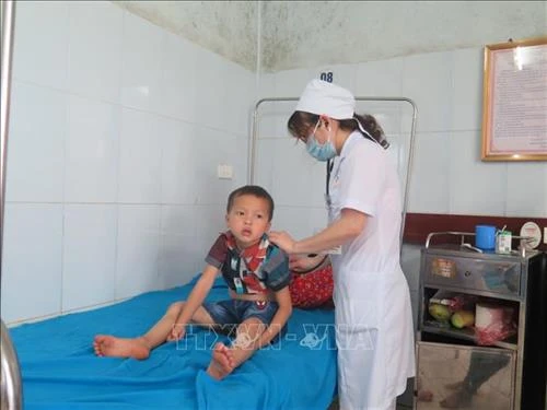Tuyên Quang: Bốn trẻ nhỏ ngộ độc do ăn thịt cóc