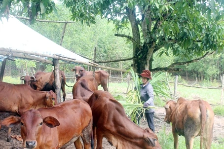 Đồng Nai đẩy mạnh đào tạo nghề gắn với giải quyết việc làm cho lao động