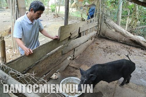 Bí thư Chi bộ Lo Xuân Tình tận tụy với đồng bào Ơ Đu